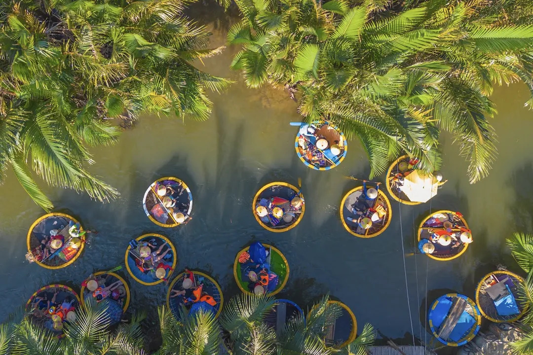 Bay Mau Coconut forest