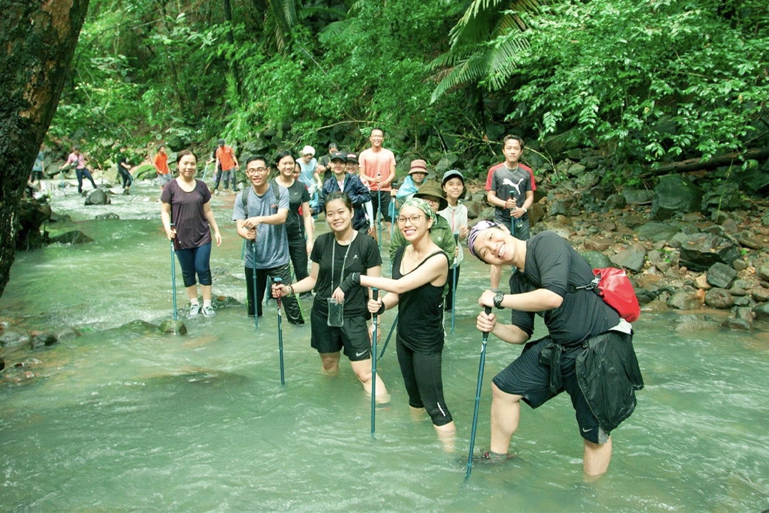 Dak Ca Stream