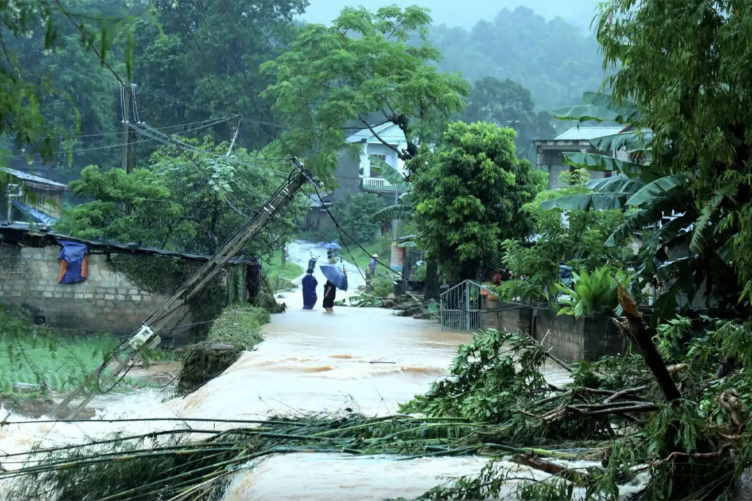 Regarding heavy rain on land, the affected areas are the Northeast region, the southern part of Phu Tho province, and Thanh Hoa.