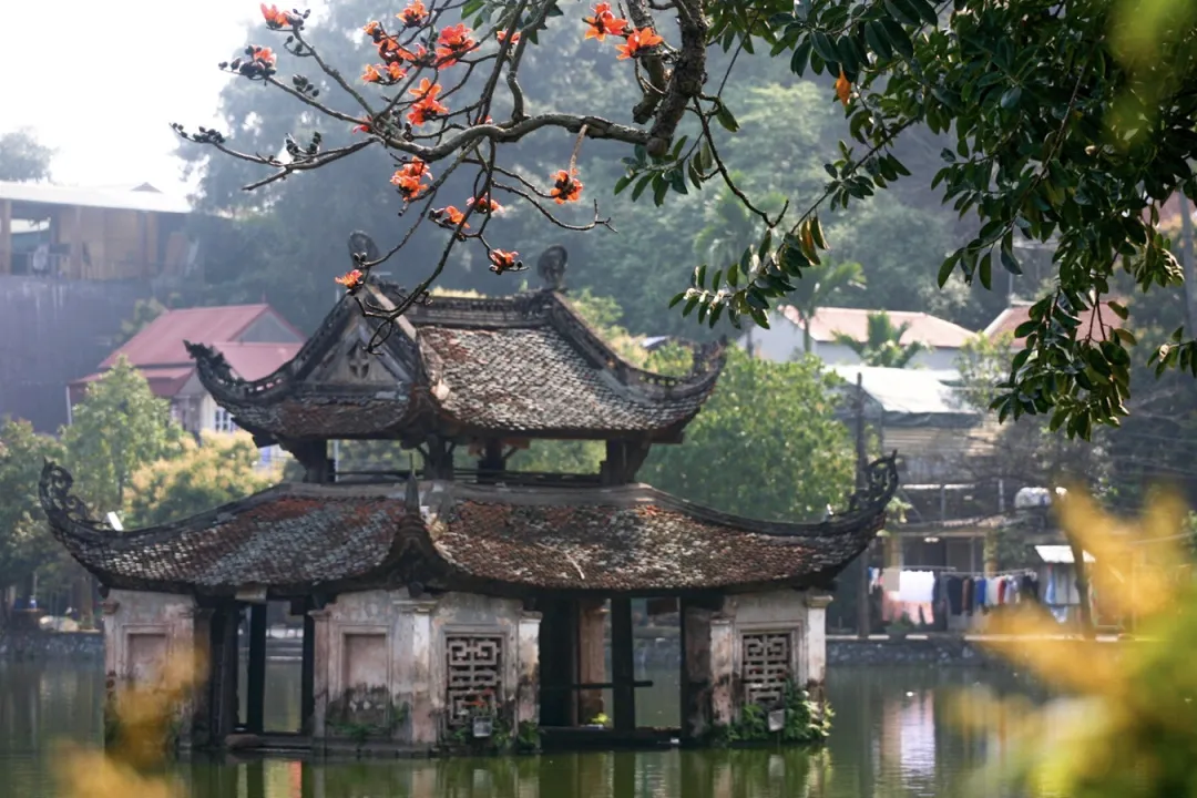 The Water Pavilion