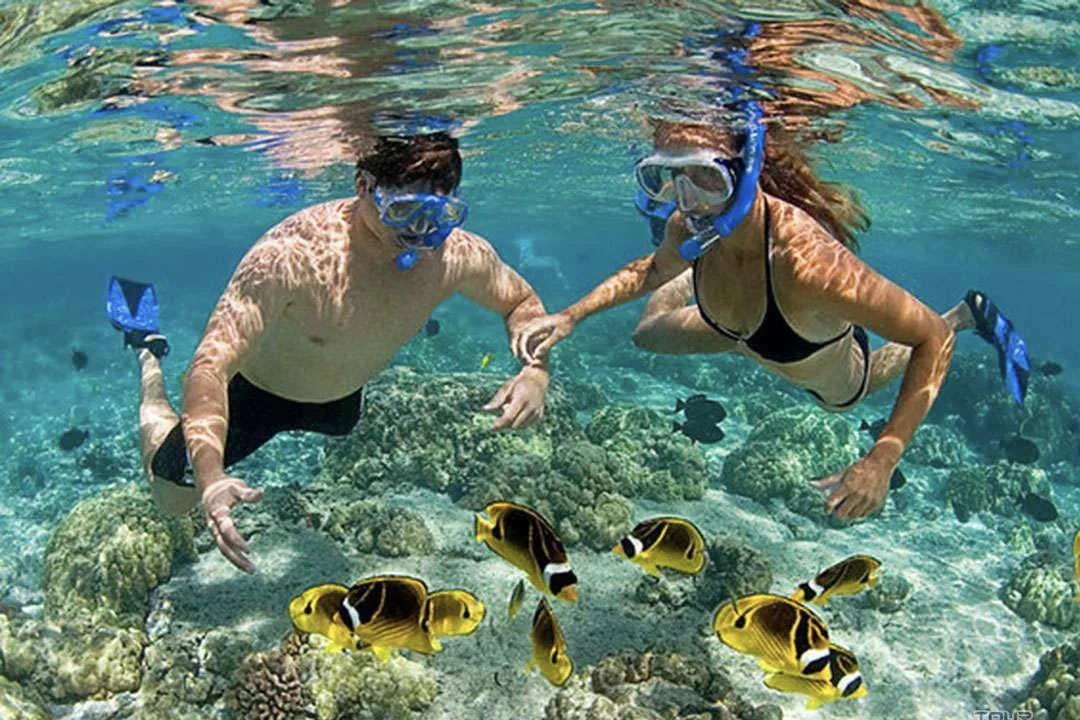 Witness firsthand the vibrant coral reefs 