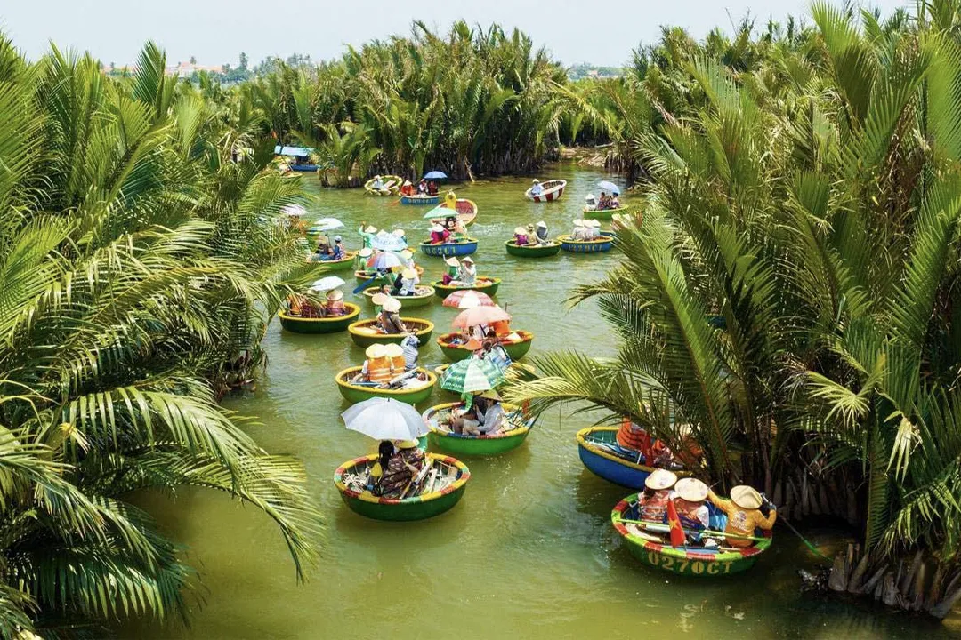 Cam Thanh water coconut jungle