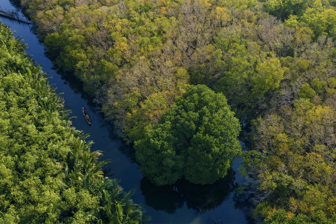 Thuy Bieu Eco-village