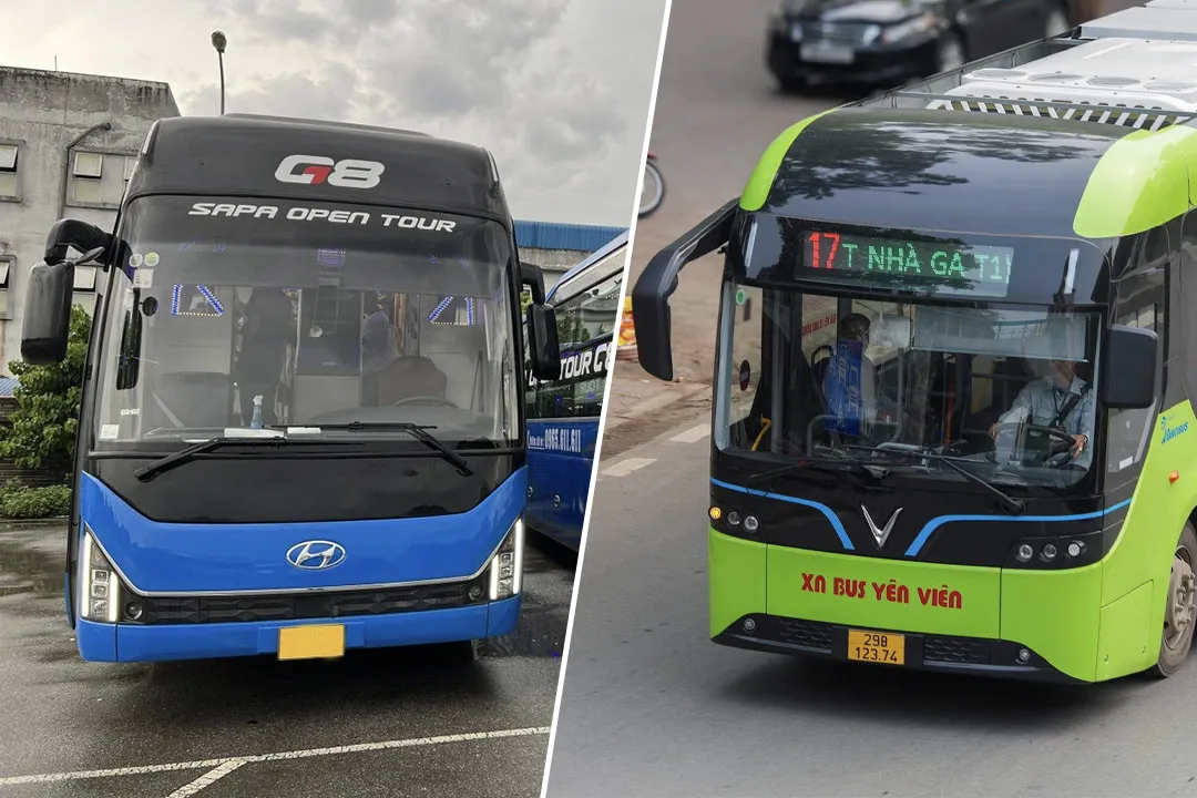 Tourist Bus and Local Bus