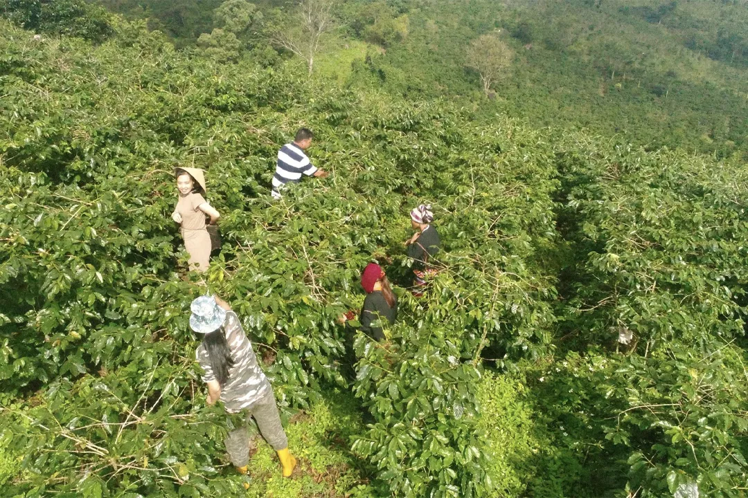 Khe Sanh Pro Traveler Experience Tips