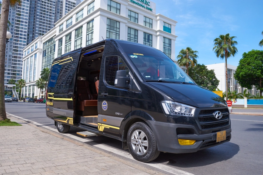 Limousine Van