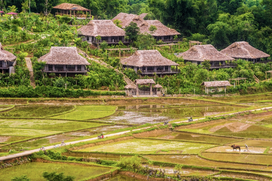 Mai Chau