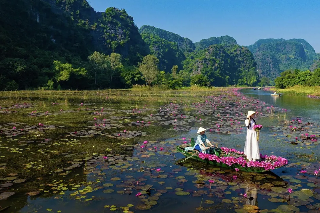 Following the global surge in "slow travel" and eco-tourism, Ninh Binh—often called the "Ha Long Bay on Land"—has become a staple for both international backpackers and luxury travelers.