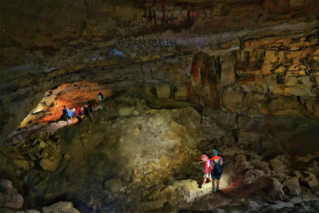 Bat Cave
