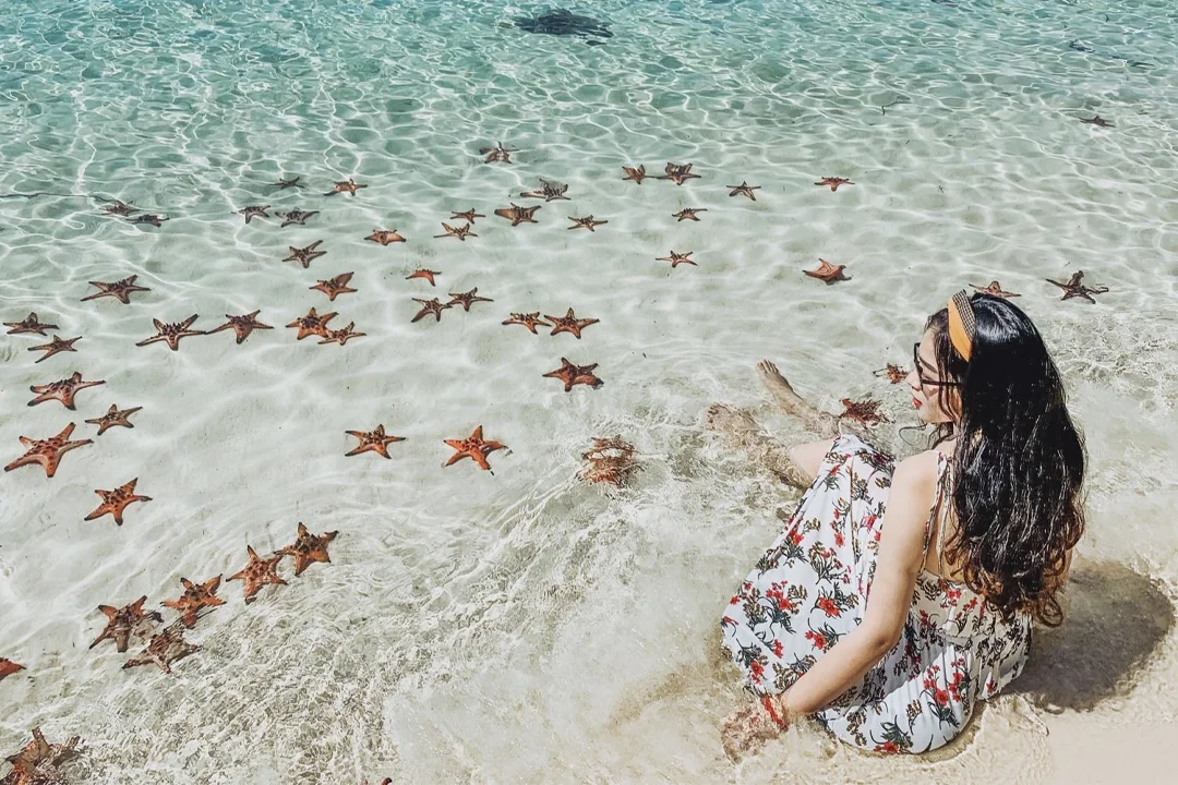Starfish Beach
