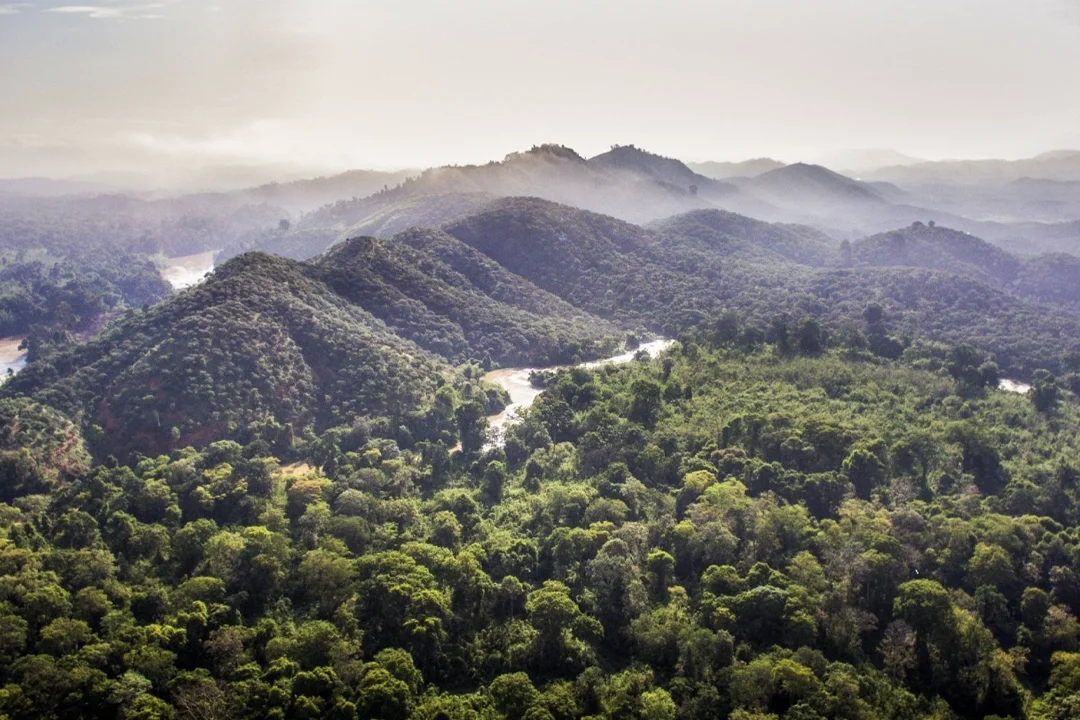 Phu Quoc National Park Landscape