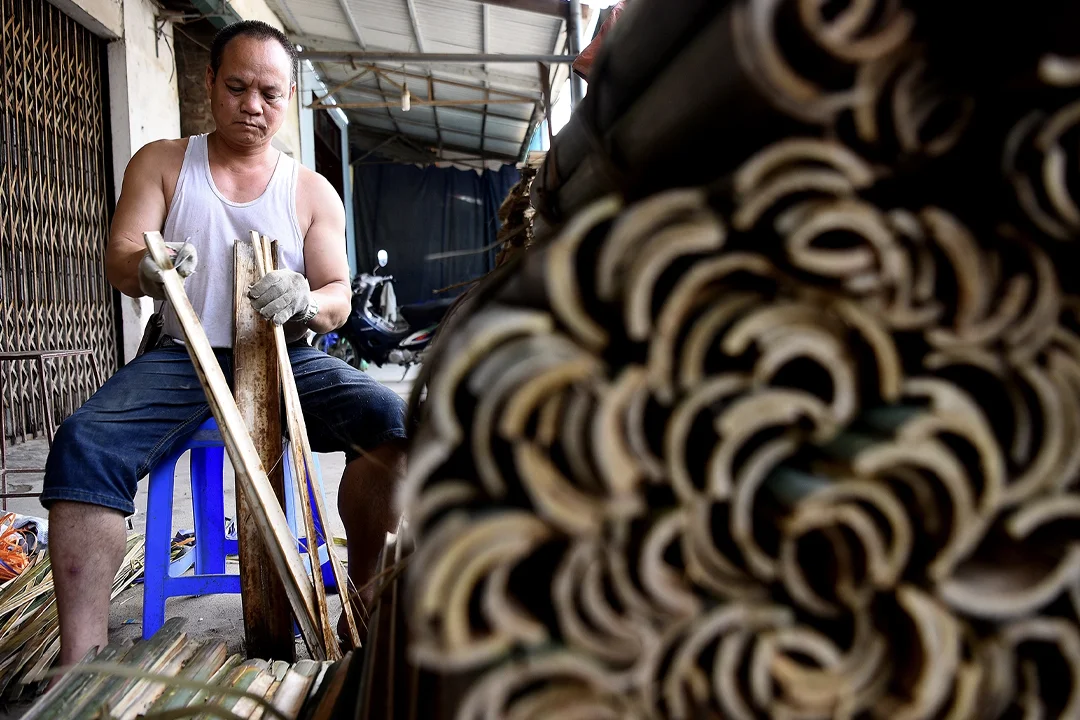 Bamboo Preparation
