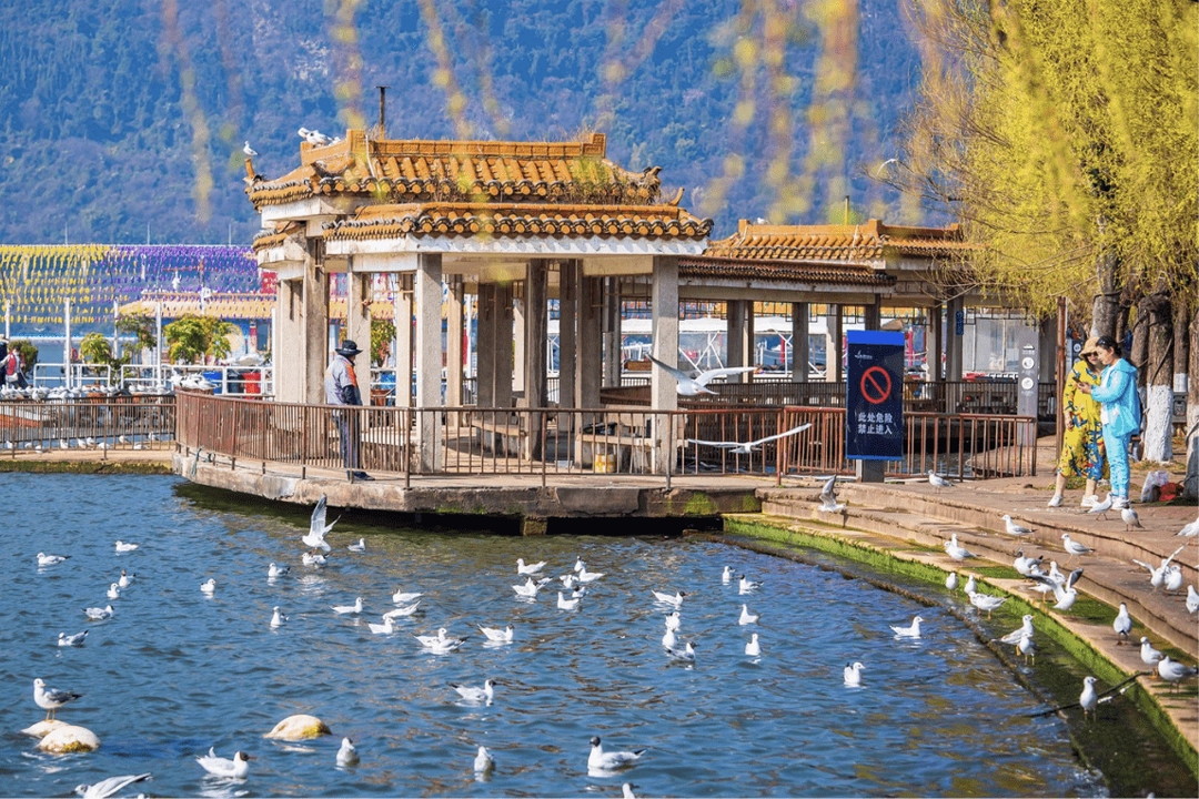 Kunming, known as the "City of Eternal Spring," 