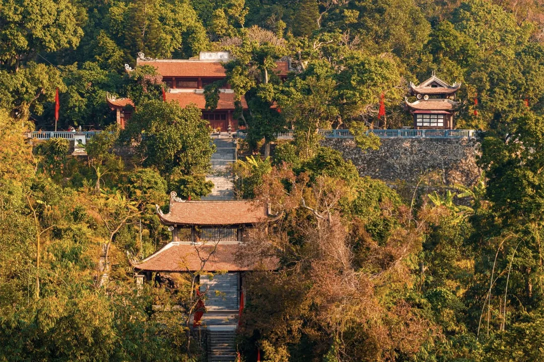 The temple is surrounded by maple forest