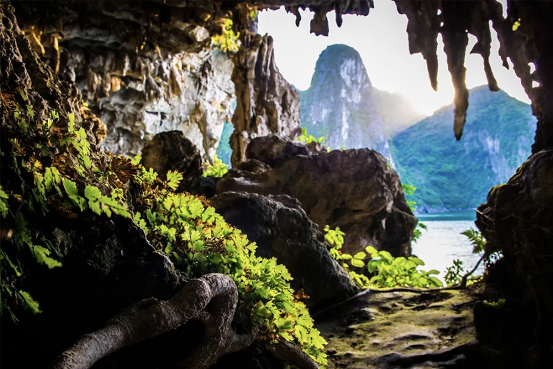 Thien Canh Son Cave