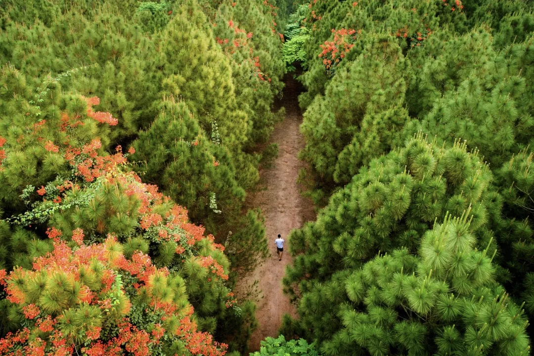 This place is often referred to as the "Da Lat" of Hue.