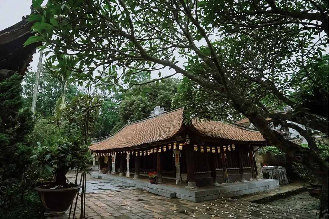 A view of Vinh Nghiem Pagoda
