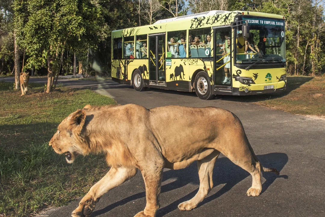 The Safari Park (Beast Area)