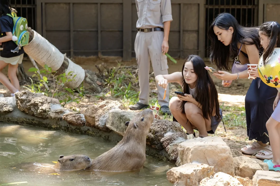Interactive Feeding