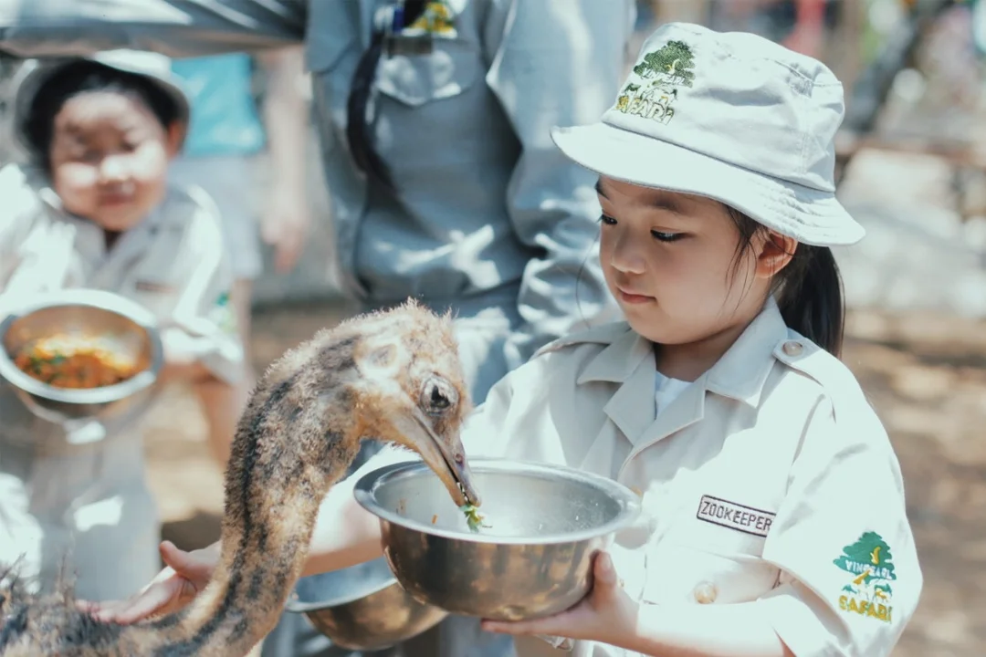 Children feed animals