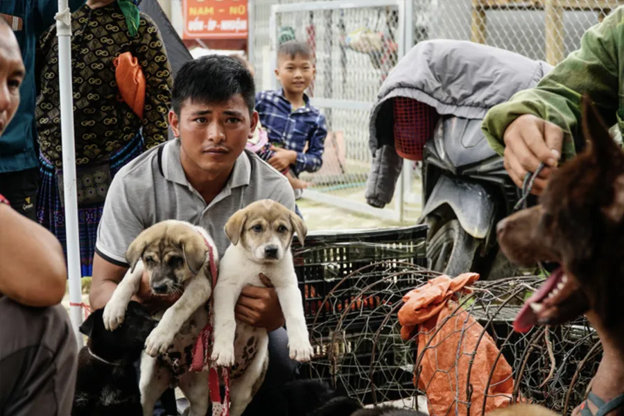 Bac Ha dog market