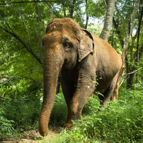 Chang Wat Kanchanaburi