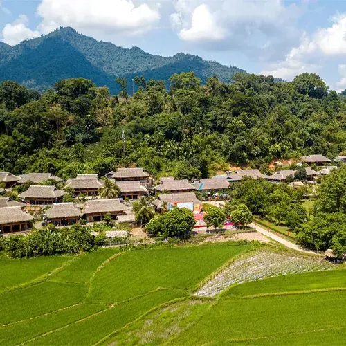 Tuyen Quang