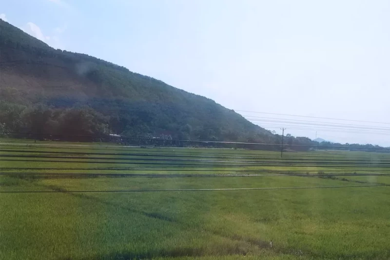 Da Nang to Hue city Transer service picture number 5