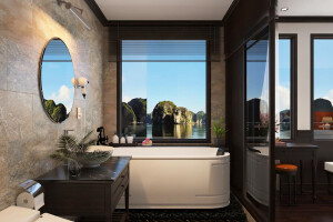 Senior Balcony Suite image 2