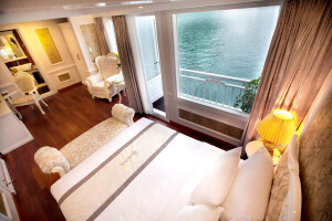 Senior Suite image 2