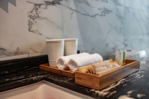 Senior Suite image 2