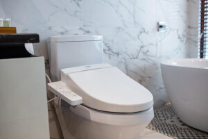 Junior Suite image 2