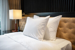 Senior Suite image 2