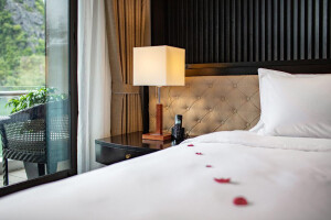 Senior Suite image 2