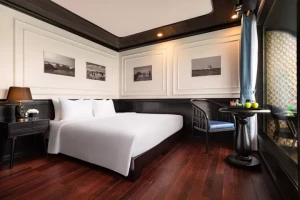 Senior Suite image 2