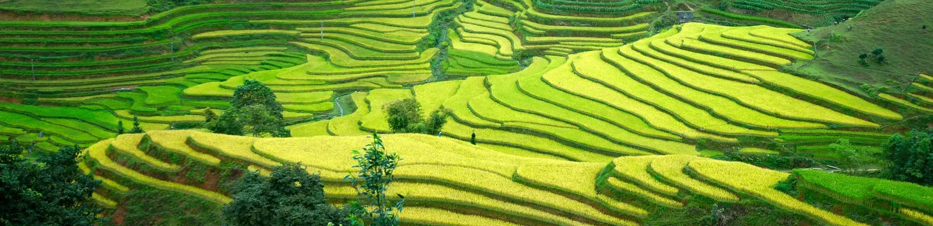 Ha Giang