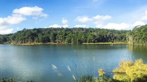 Ly Son island