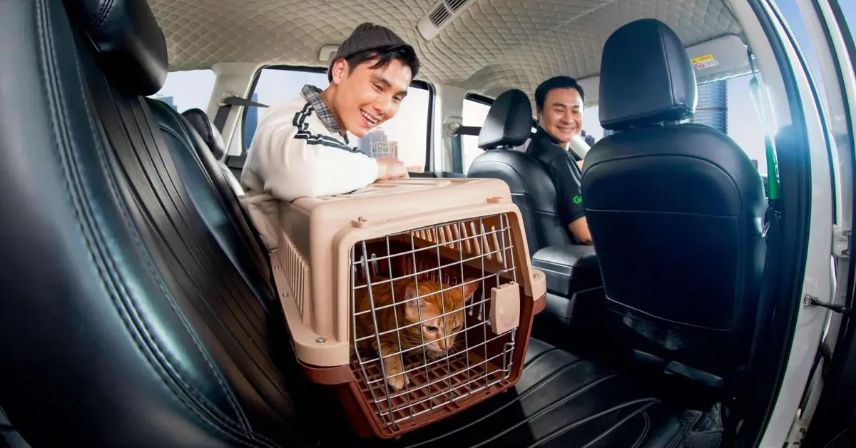 Picture of Travelling with Your Pet in Vietnam: The Complete Guide for International Travellers