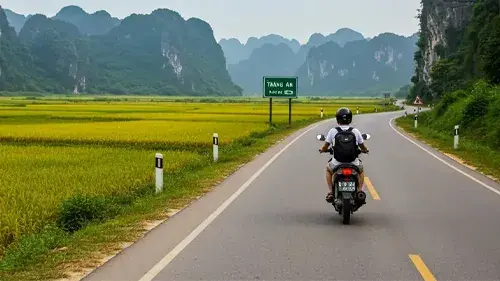 Hanoi to Ninh Binh transfer