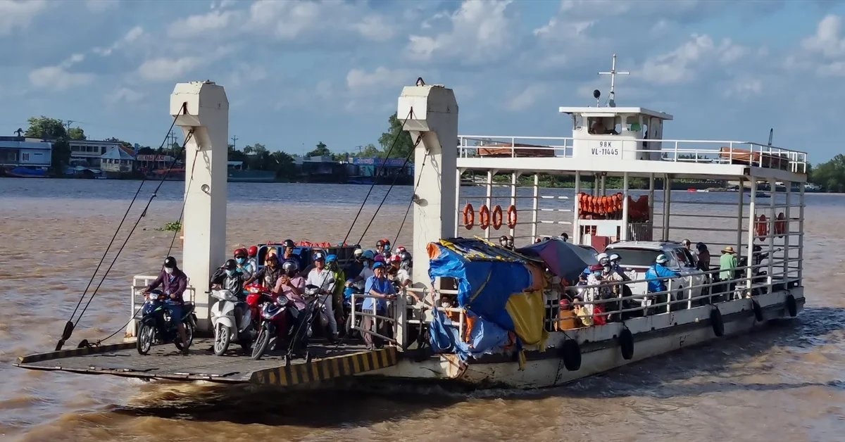 Transporting pets by boat/ferry is easy in Vietnam