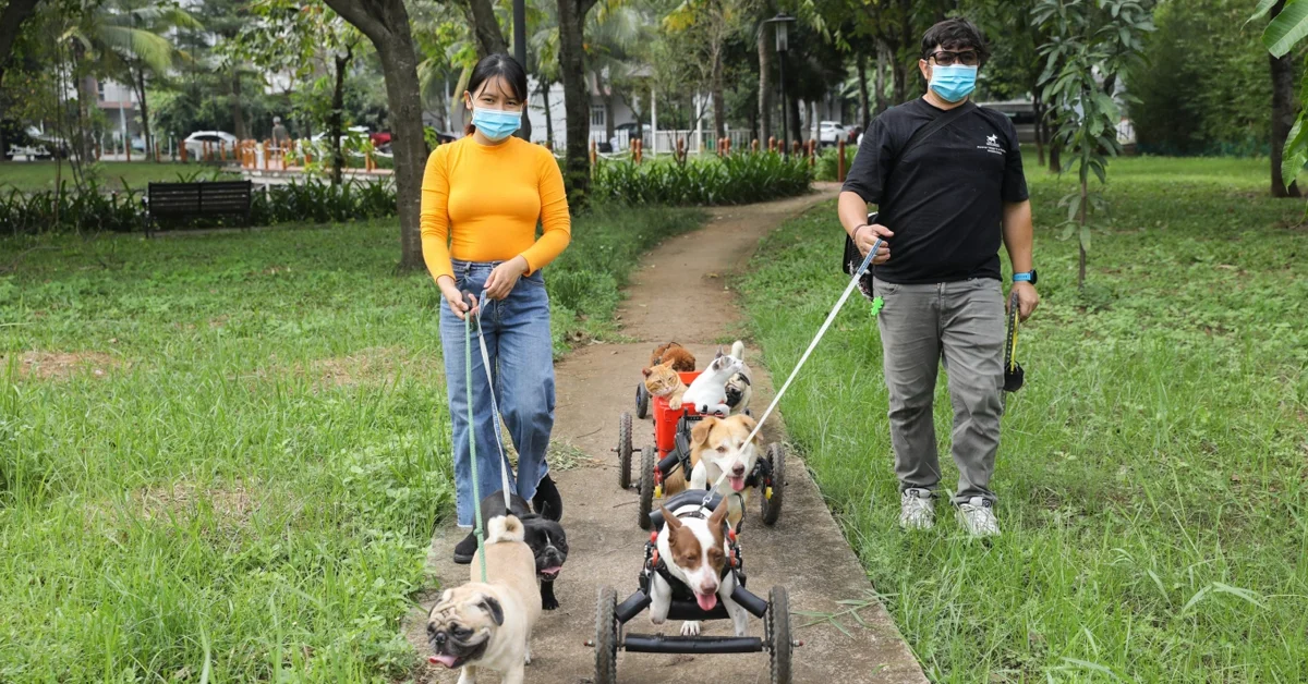 Most parks in Vietnam are pet-friendly