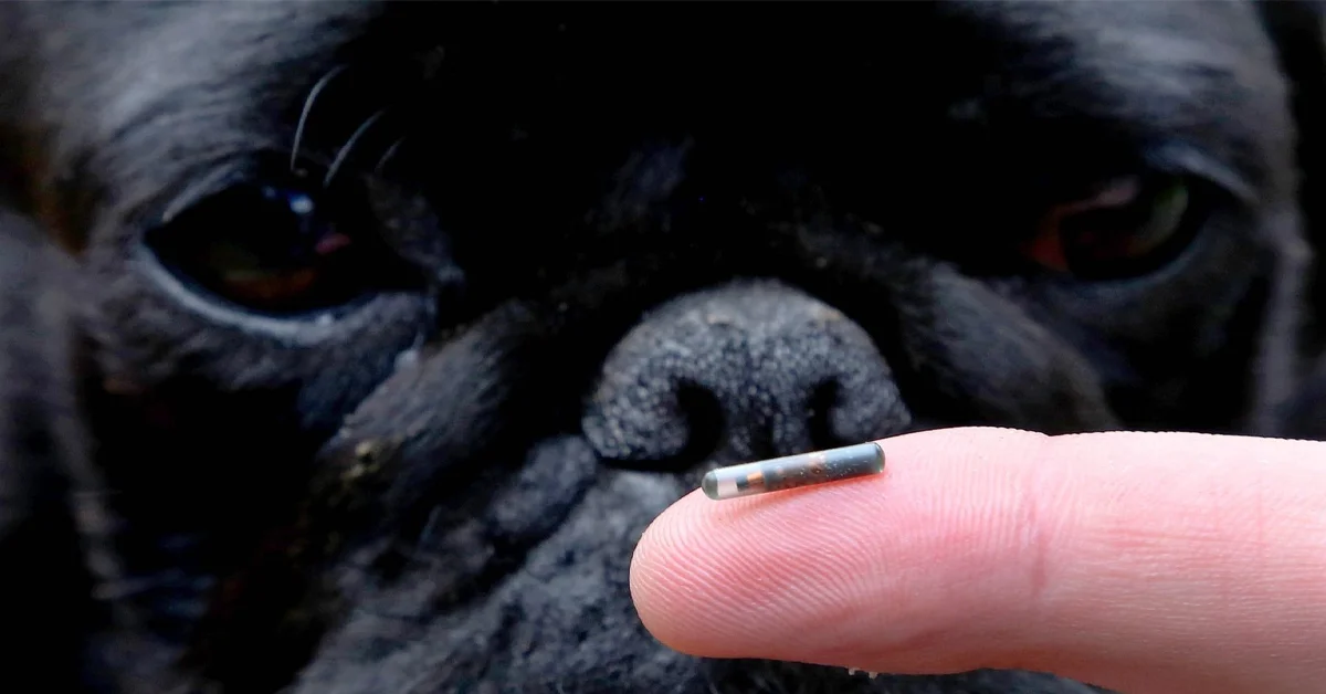 Microchip registration information is needed