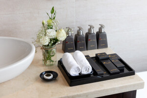 Ocean Suite Balcony image 2