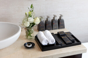 Elegance Suite Balcony image 2