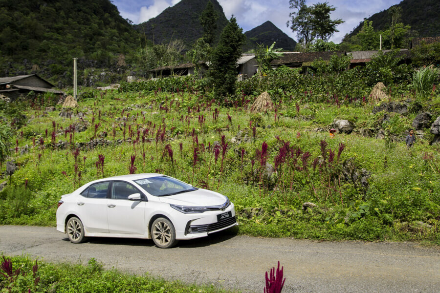 下龍灣至浦良私人包車接送 2