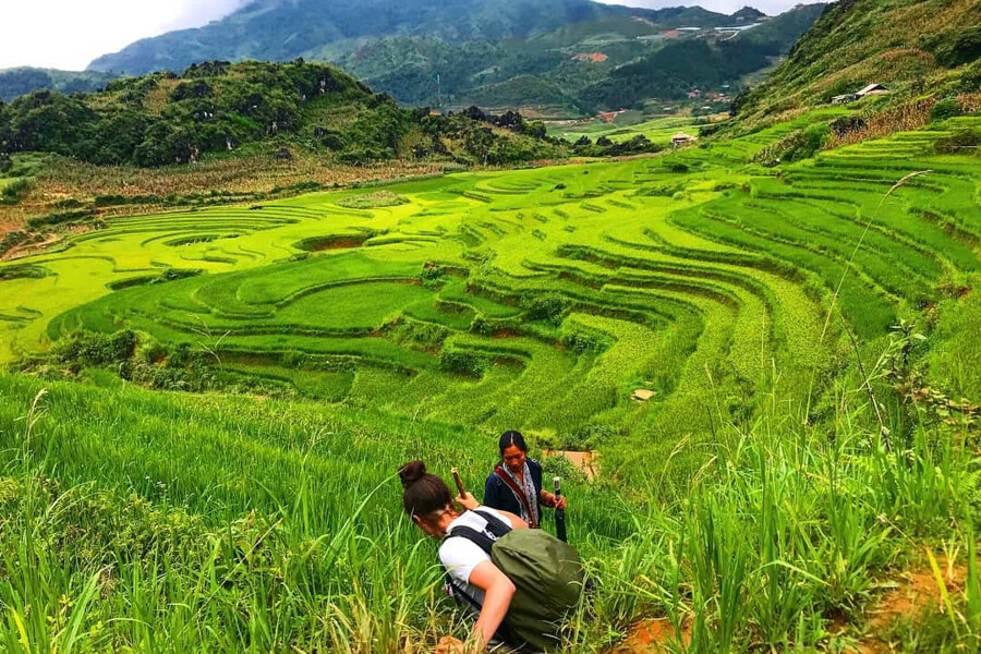 From Sapa: Sapa 1-Day private trekking tour (all included)