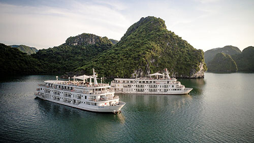 Paradise Elegance Cruise 3 Days 2 Nights