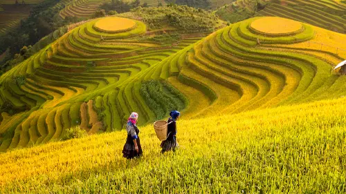 The Western Realm — A Sacred Pagoda Odyssey | PhD-Guided Private Tour from Hanoi