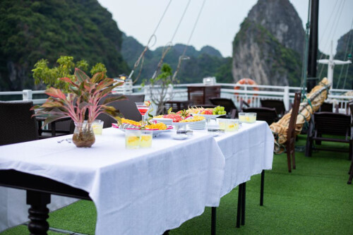 Bai Tu Long Bay Swan cruise day tour 10