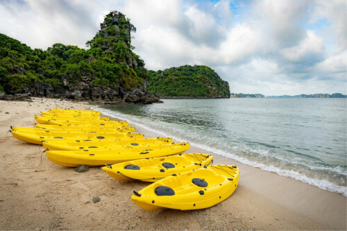 Bai Tu Long Bay Swan cruise day tour 12